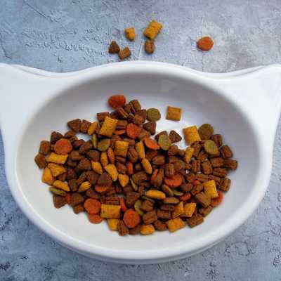 Czy sucha karma może się popsuć? Jak ją przechowywać?