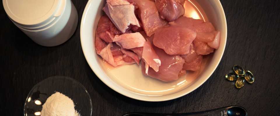 Dieta BARF dla Kota: Co to jest? Założenia